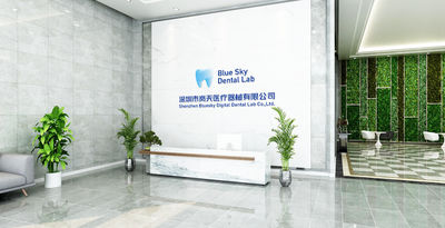 Bluesky Digital Dental Lab Co,.LTD خط إنتاج المصنع